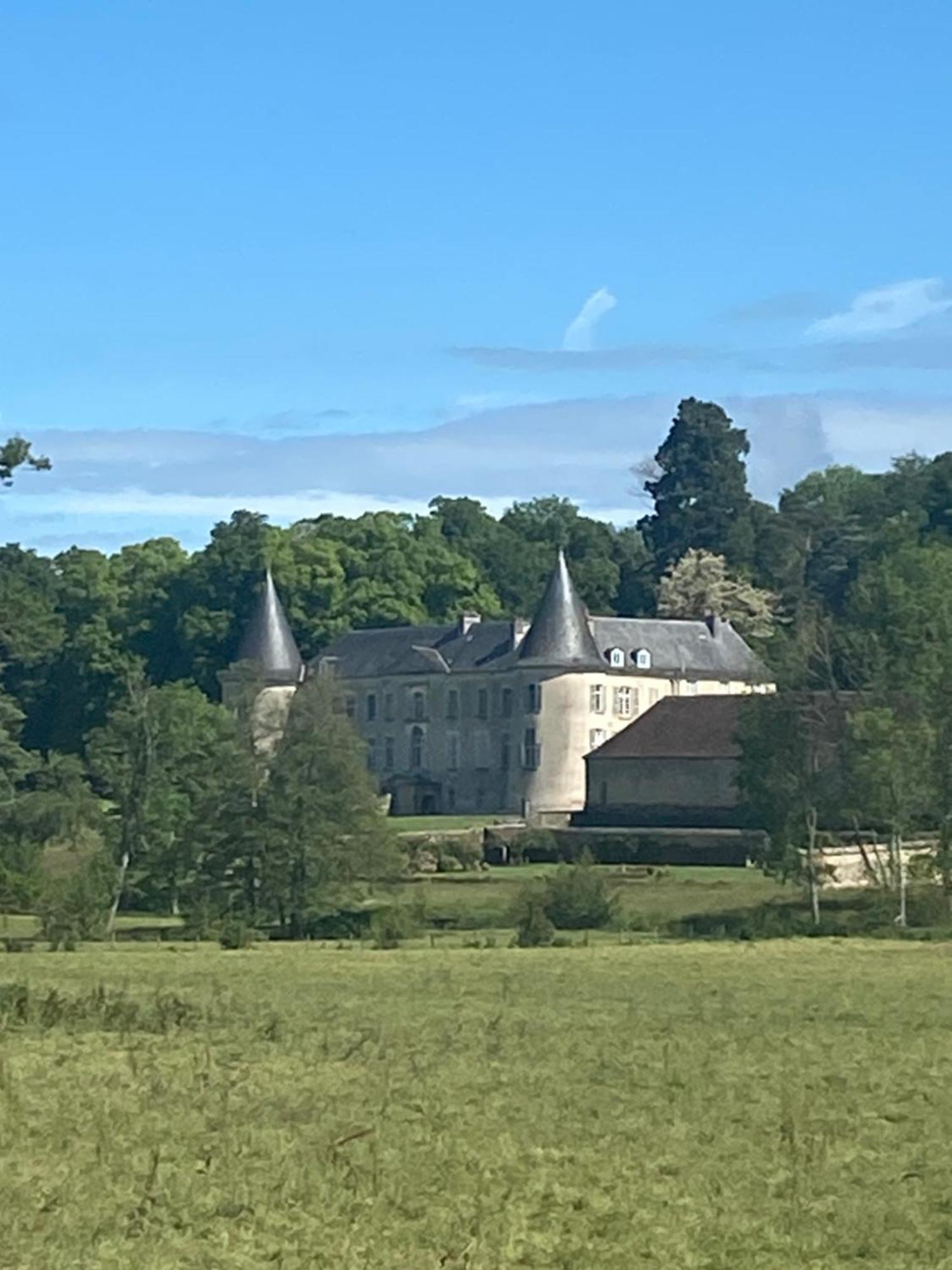 Chateau De Beaujeu Sens-Beaujeu Exterior photo